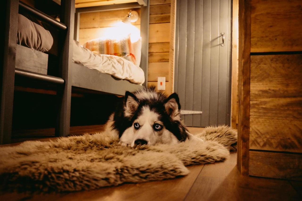 Hotel Llechwedd Glamping Blaenau Ffestiniog Zewnętrze zdjęcie